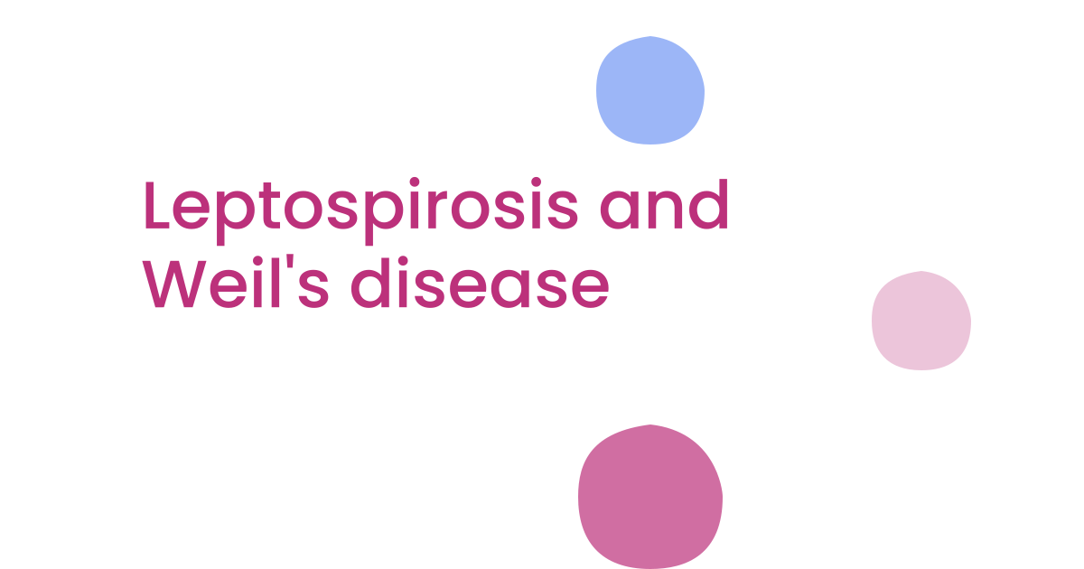 Leptospirosis and Weil's disease