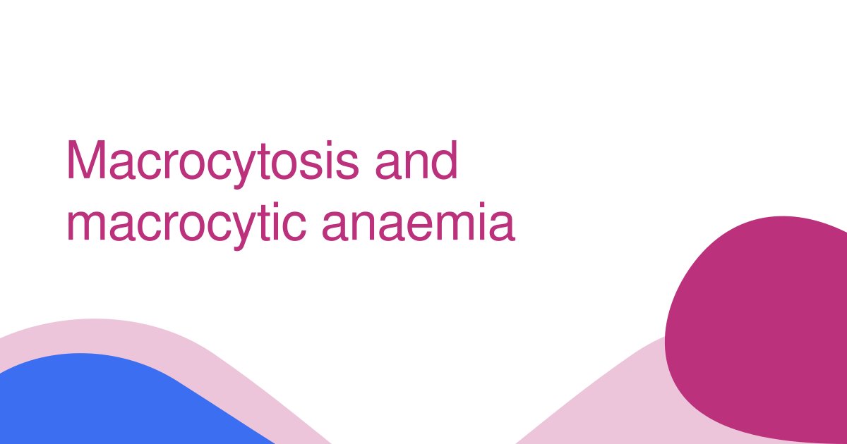 Macrocytosis and macrocytic anaemia