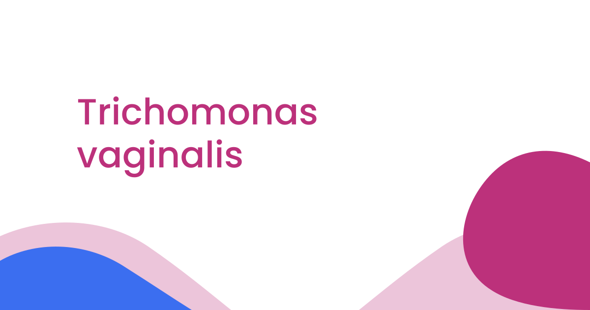 Trichomonas vaginalis